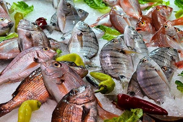 buy-fresh-fish-online-dealer-cebu-philippines