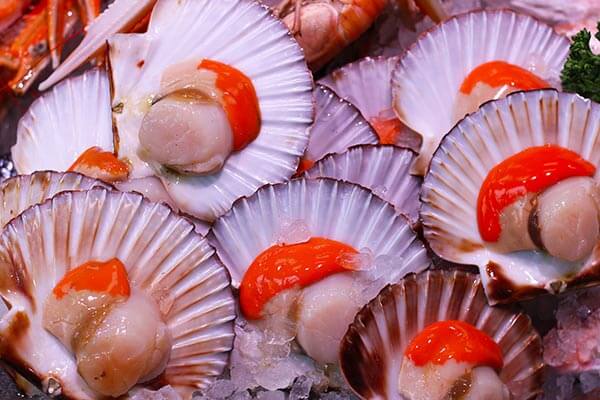 buy-fresh-frozen-scallops-seashells-online-supplier-cebu-philippines