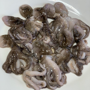 food-phil-seafood-supplier-cebu-philippines-fishes-baby-Octopus