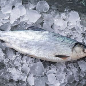 food-phil-seafood-supplier-cebu-philippines-fishes-Bangus