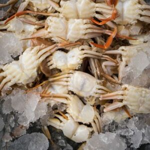 food-phil-seafood-supplier-cebu-philippines-fishes-Crablets