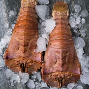 food-phil-seafood-supplier-cebu-philippines-fishes-Rock Lobster_Slipper Lobster