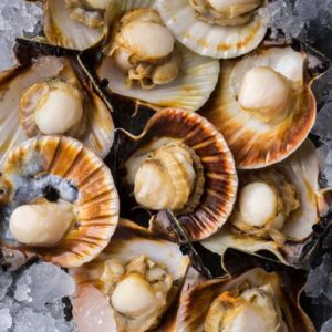 food-phil-seafood-supplier-cebu-philippines-fishes-Scallop Halfshell